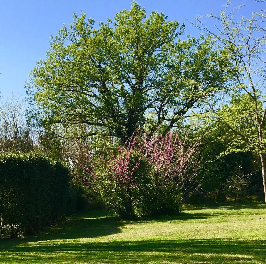 LʼIsle-sur-la-Sorgue Campagne Baudeloup B&B 외부 사진